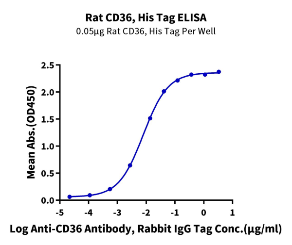 Rat CD36/SR-B3 Protein