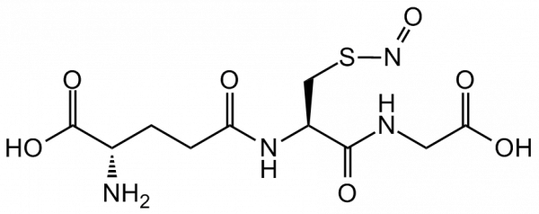 S-Nitrosoglutathione