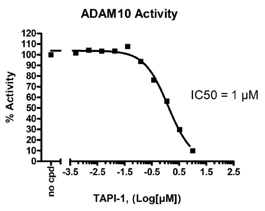 ADAM10 Fluorogenic Assay Kit