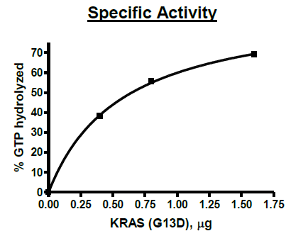 B KRAS (G13D), Isoform B, His-Tag