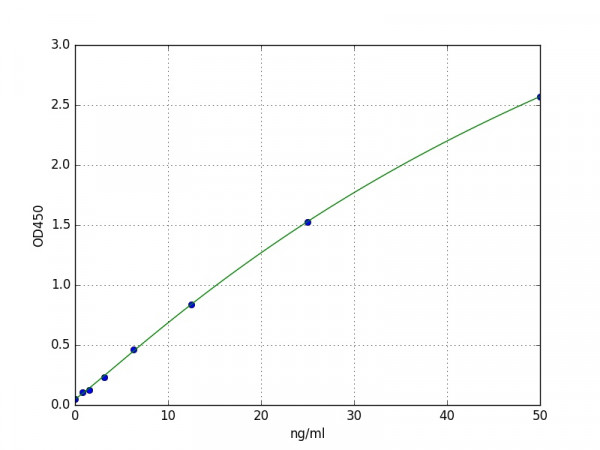 Human MMP-19 ELISA Kit