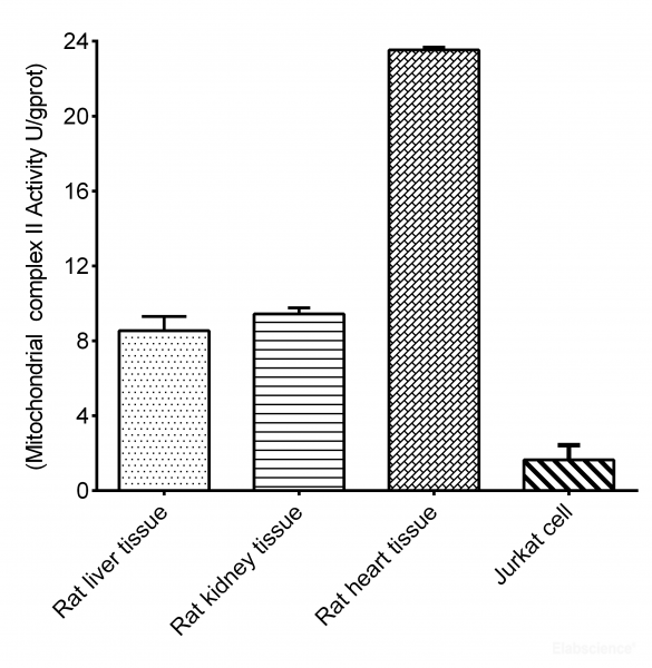 Mitochondrial Complex II Activity Assay Kit