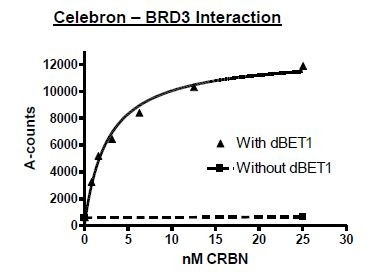 Cereblon/DDB1/Cul4A/Rbx1 Complex