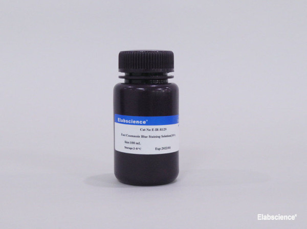 Fast Coomassie Blue Staining Solution (10×)