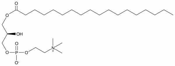 1-Stearoyl-2-hydroxy-sn-glycero-3-PC