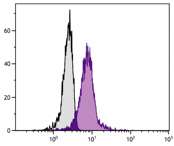 Anti-IL17 / IL17A (FITC), clone TC11-8H4