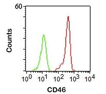 Anti-CD46, clone 122.2