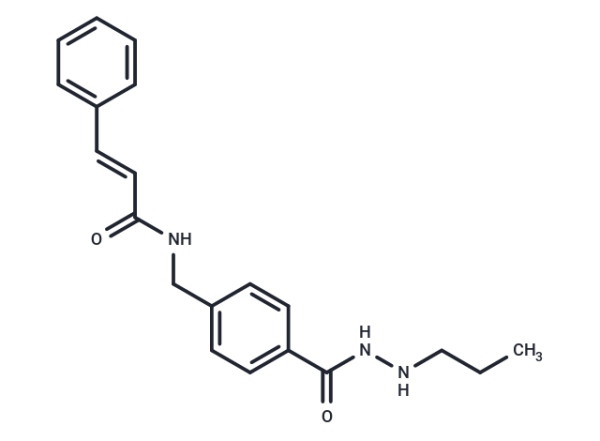 HDAC3 Inhibitor