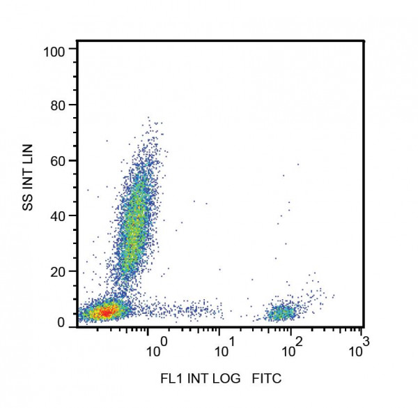 Anti-CD20, clone 2H7 (FITC)