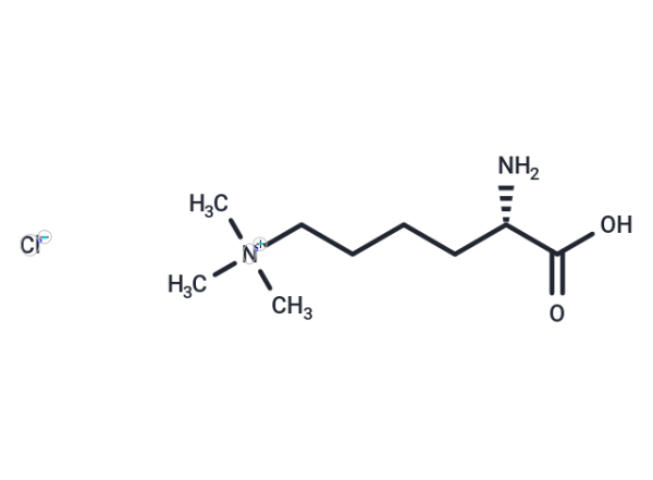 Nepsilon,Nepsilon,Nepsilon-Trimethyllysine chloride