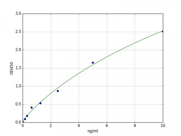 Mouse Caspase-12 ELISA Kit