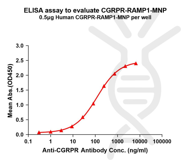 CGRPR-RAMP1 (human) full length protein-MNP