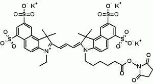 Cyanine 3.5 monosuccinimidyl ester, potassium salt [same to GE Cy3.5(R) NHS ester]