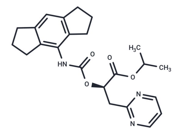 NT-0796