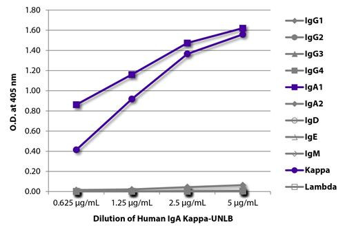 Human IgA Kappa Isotype Control antibody