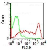 Anti-CD45RO (Clone: C45.1)