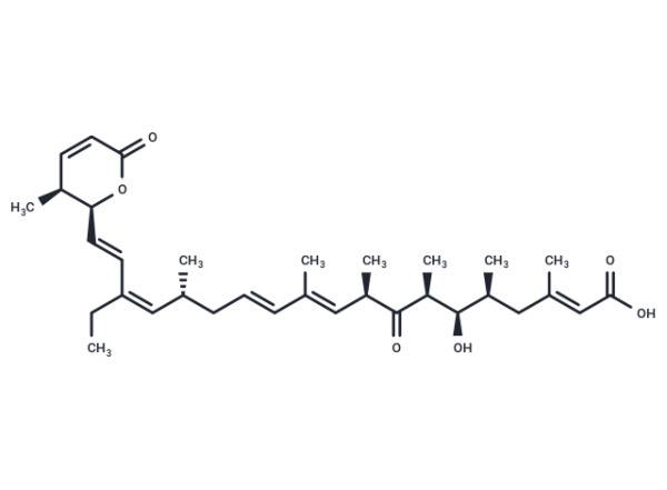 Leptomycin B