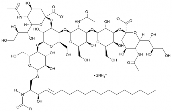 Ganglioside GD1a (bovine) (ammonium salt)
