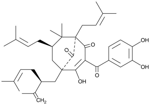 Garcinol