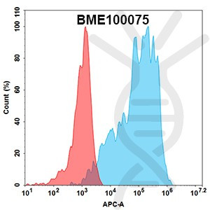 Anti-CLDN18.2 (zolbetuximab biosimilar) mAb