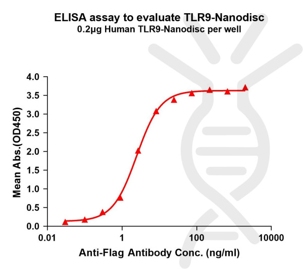TLR9 (human) full length protein-synthetic nanodisc