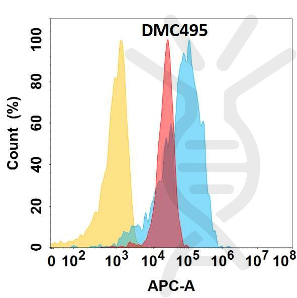 Anti-YAP1 antibody(DMC495), IgG1 Chimeric mAb