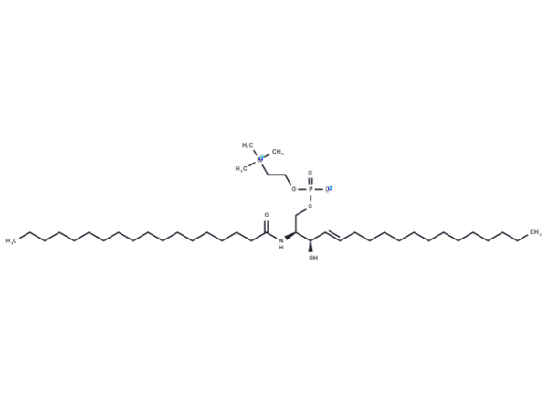 Sphingomyelin