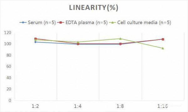 Rat AGT (Angiotensinogen) CLIA Kit