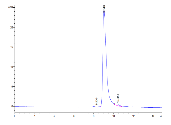 SARS-Cov-2 Spike RBD (Omicron BA.2.12.1) Protein