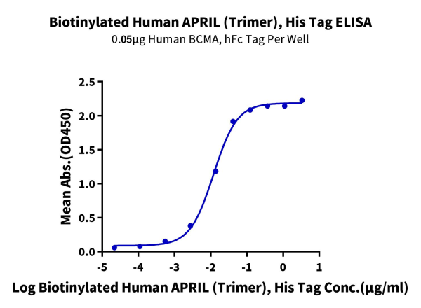 Biotinylated Human APRIL/TNFSF13 Trimer Protein