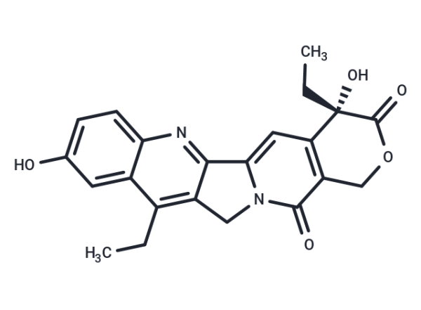 SN-38