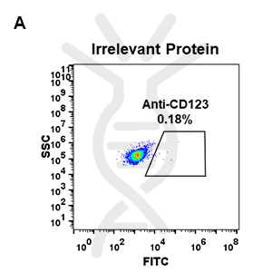 Anti-CD123 antibody(DM31), Rabbit mAb