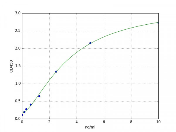 Human Synaptopodin / SYNPO ELISA Kit