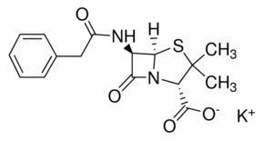 Penicillin G Potassium Salt (Benzylpenicillin potassium, Potassium benzylpenicillinate)