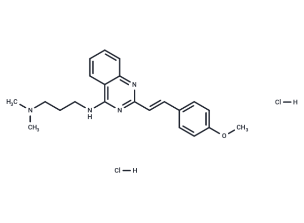 CP-31398 dihydrochloride