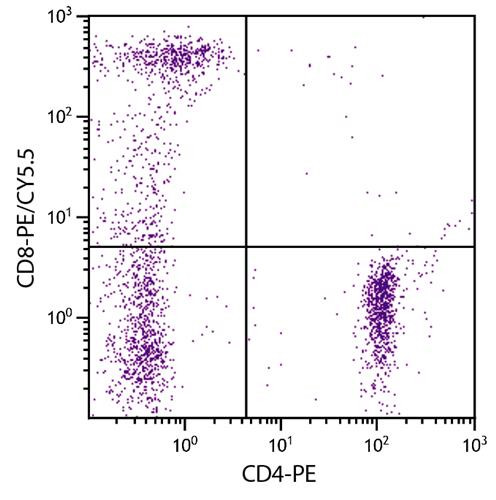 Anti-CD8 (PE/Cy5.5), clone RFT8