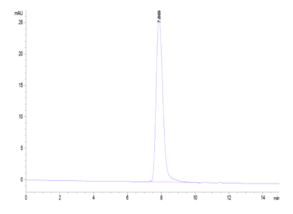 Canine CD46 Protein