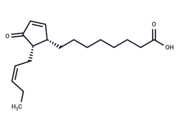 12-Oxo phytodienoic acid