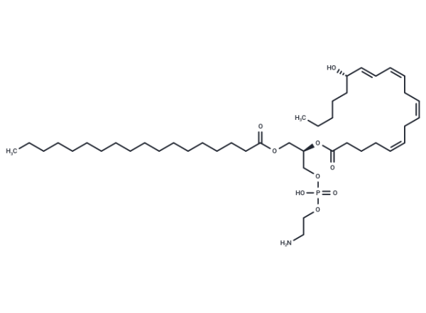 1-Stearoyl-2-15(S)-HETE-sn-glycero-3-PE