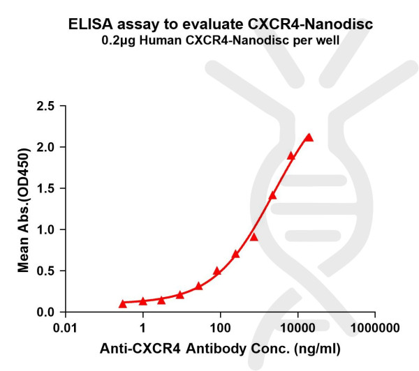 CXCR4 (human) full length protein-synthetic nanodisc