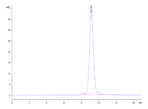 Human AMCase/CHIA Protein