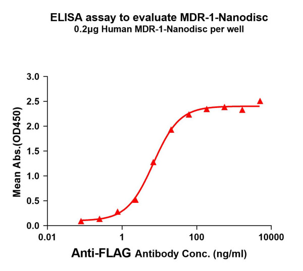 MDR-1 (human) full length protein-synthetic nanodisc