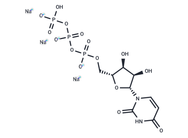 Uridine triphosphate trisodium salt