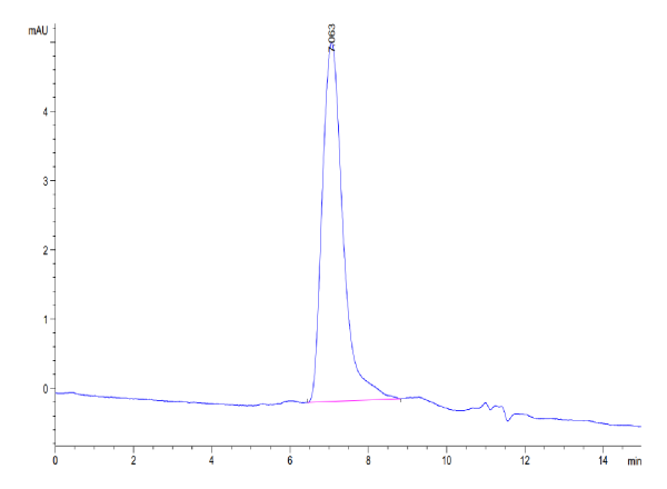 Human CD34 Protein