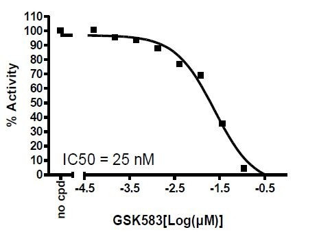 RIPK2 Kinase Assay Kit