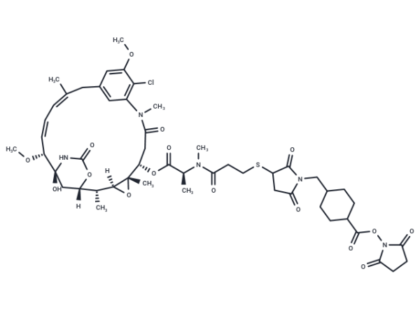 SMCC-DM1