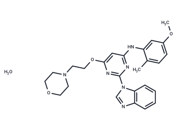 Lck Inhibitor III