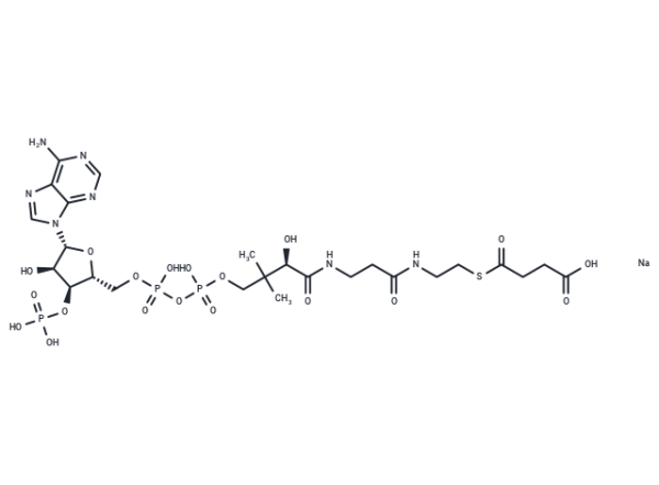 Succinyl-Coenzyme A sodium salt