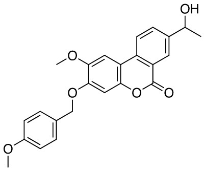 Palomid 529