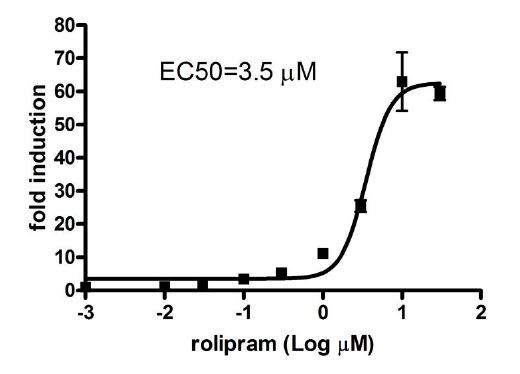 Transfection Collection(TM) : PDE4D Transient Pack